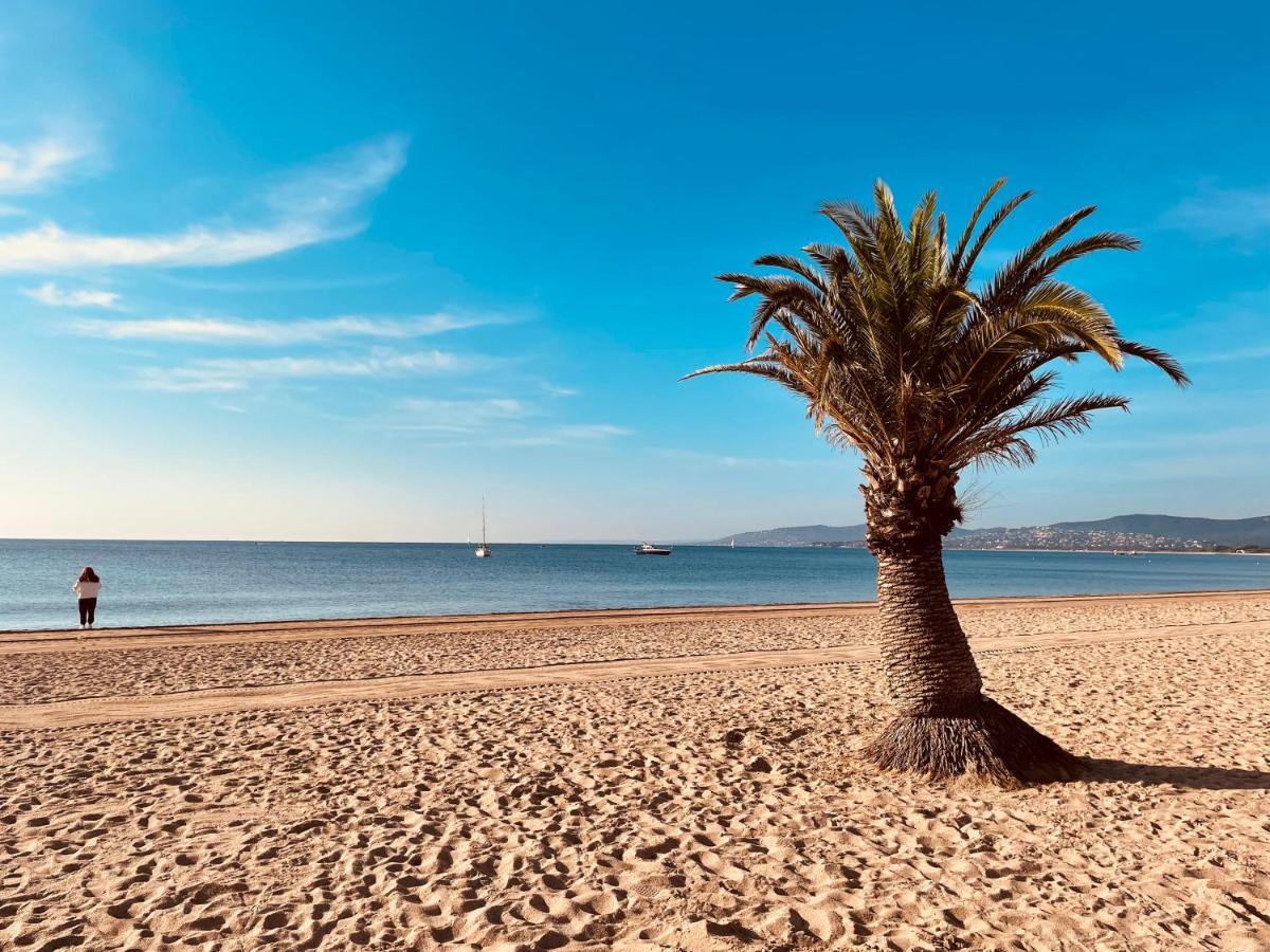 De Standing Climatise, Avec Piscine, Proche De La * Frejus